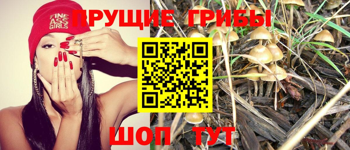 Галлюциногенные грибы прущие грибы Петрозаводск