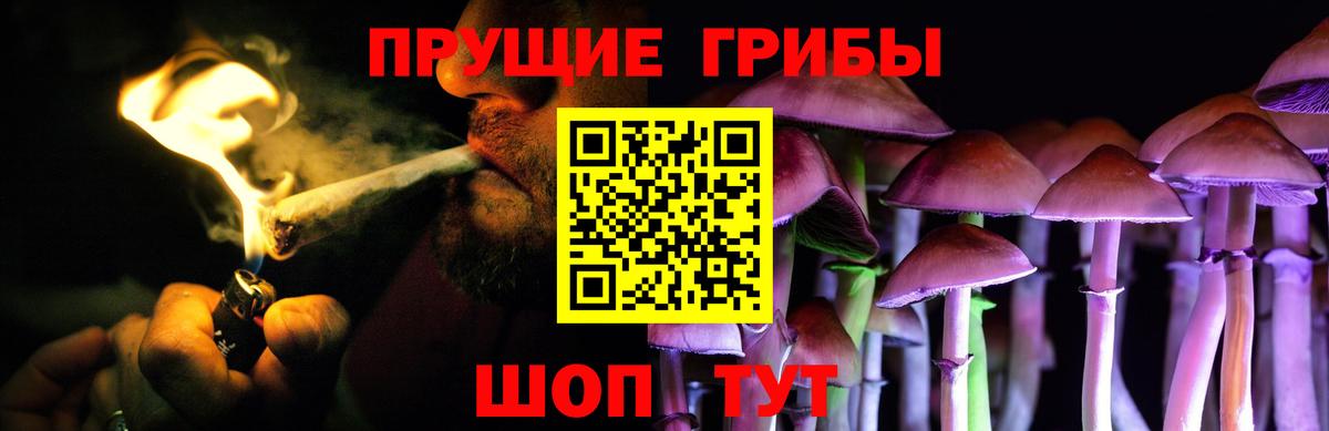 закладка  Галлюциногенные грибы Psilocybine cubensis  Петрозаводск  Вход с VPN  Галлюциногенные грибы Psilocybine cubensis 